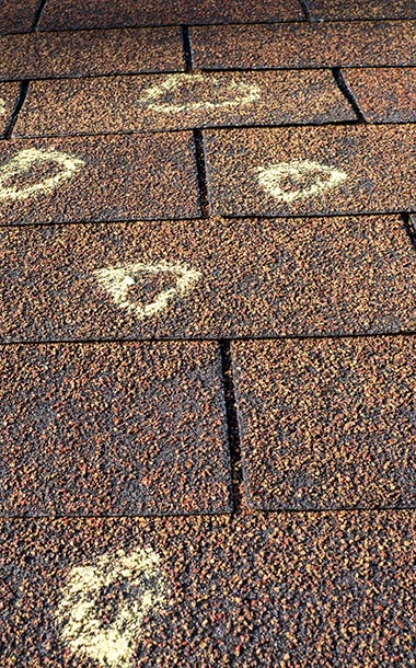 Hail Damage Portrait