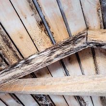 1731272951 61062530 220x220 6 Visible Attic Mois