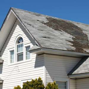 58221127 0 Storm Damage Benefit