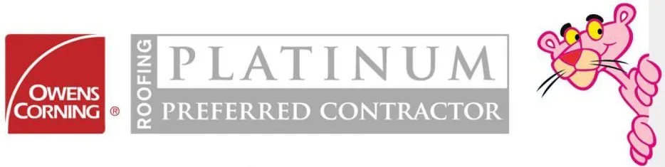 Platinume logos 980x290 9a3e7496 c94b415f 1920w