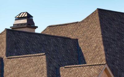 Roof Shingle Granule Loss Explained: Signs, Causes, and When To Call a Roofing Pro