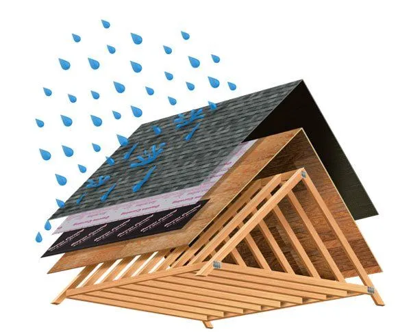 roof diagram seal 1920w