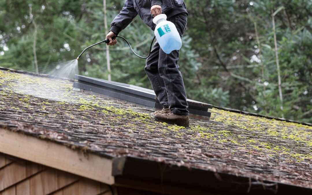 How to Get Moss Off Your Roof in Indiana: Best Removal Methods