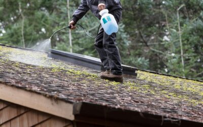 How to Get Moss Off Your Roof in Indiana: Best Removal Methods